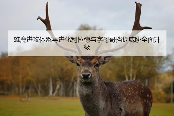 雄鹿进攻体系再进化利拉德与字母哥挡拆威胁全面升级